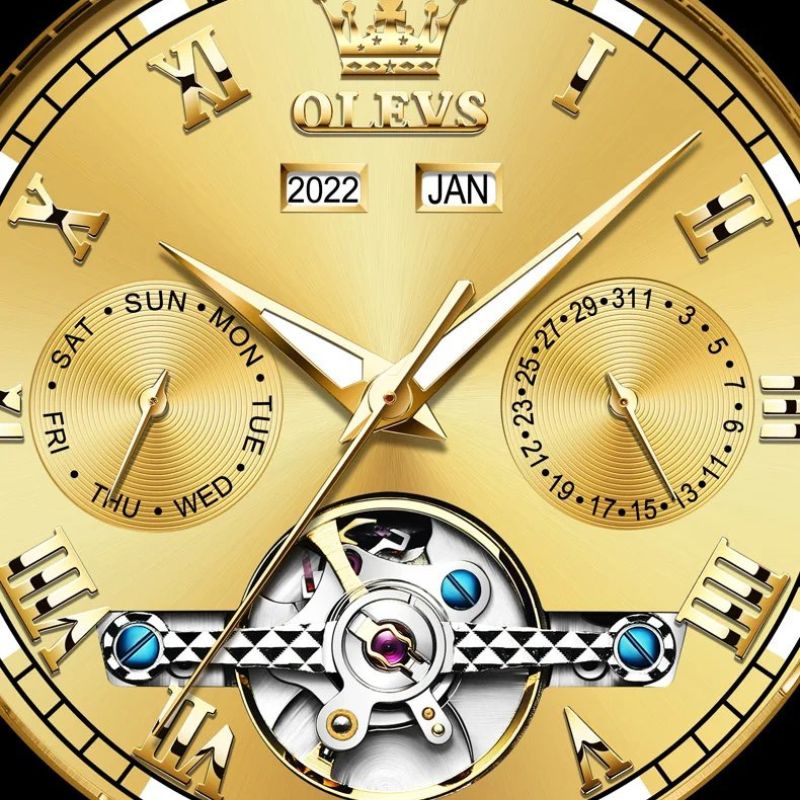 OLEVS - Premium Collection